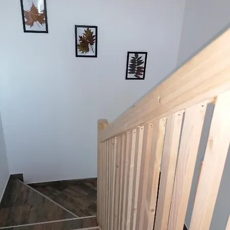 Ferienwohnung Nikolica Kuca Mitrovac Exterior foto
