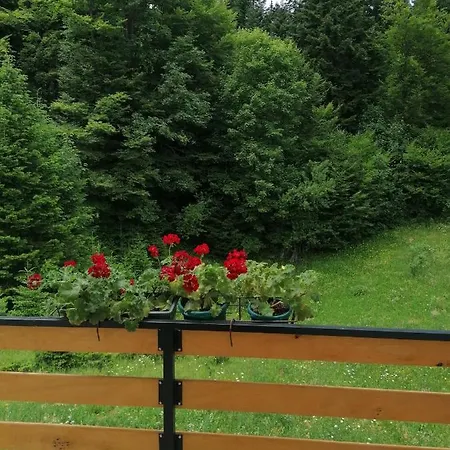 Ferienwohnung Nikolica Kuca Mitrovac Exterior foto