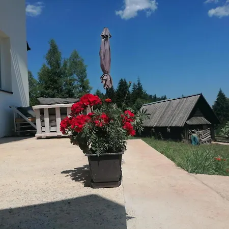 Ferienwohnung Nikolica Kuca Mitrovac Exterior foto