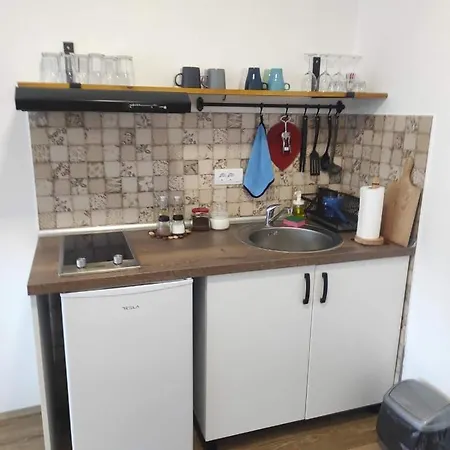 Ferienwohnung Nikolica Kuca Mitrovac Exterior foto