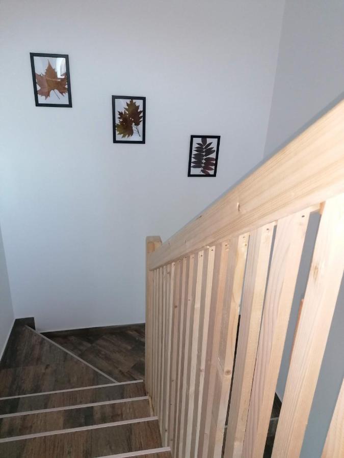 Apartment Nikolica Kuca Mitrovac