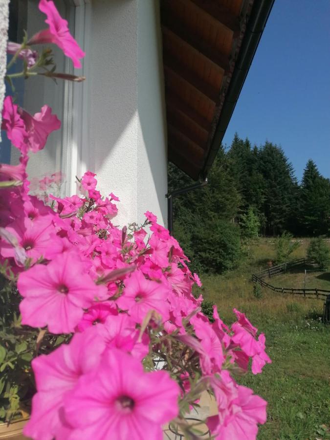 Nikolica Kuca Apartment Mitrovac