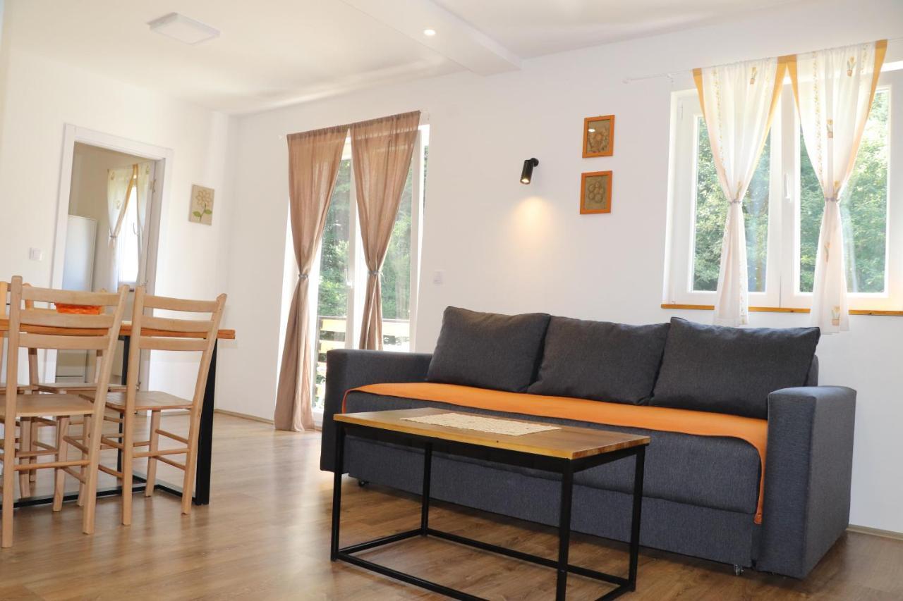 Apartment Nikolica Kuca Mitrovac