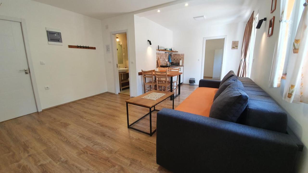 Nikolica Kuca Apartment *